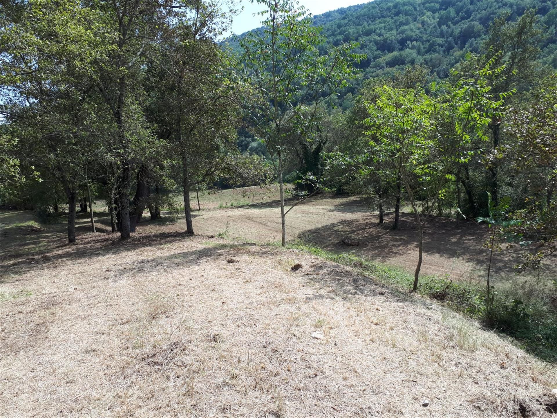Country house for sale in Olot