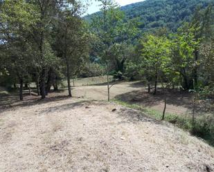 Finca rústica en venda a Carretera Eix Pirinenc Tram Besalú-Ripoll, Olot Finca rústica en venda en Olot