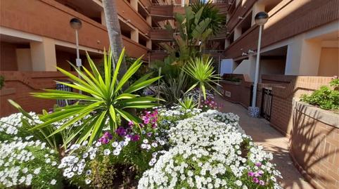 Planta baixa en venda a Avinguda Central, 48, Costa Azahar, Castellón - imatge 5 Foto 5 de Planta baixa en venda a Avinguda Central, 48, Costa Azahar, Castellón