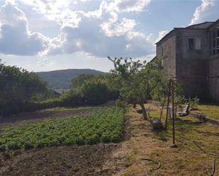 Garden of House or chalet for sale in A Mezquita 