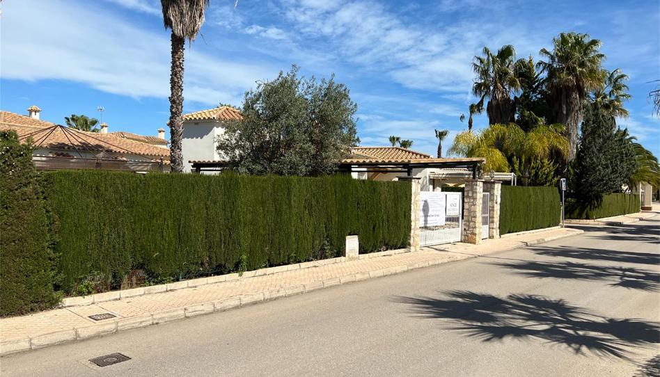 Photo 1 of House or chalet for sale in Avenida Oliva Nova, 5, Oliva Nova, Valencia