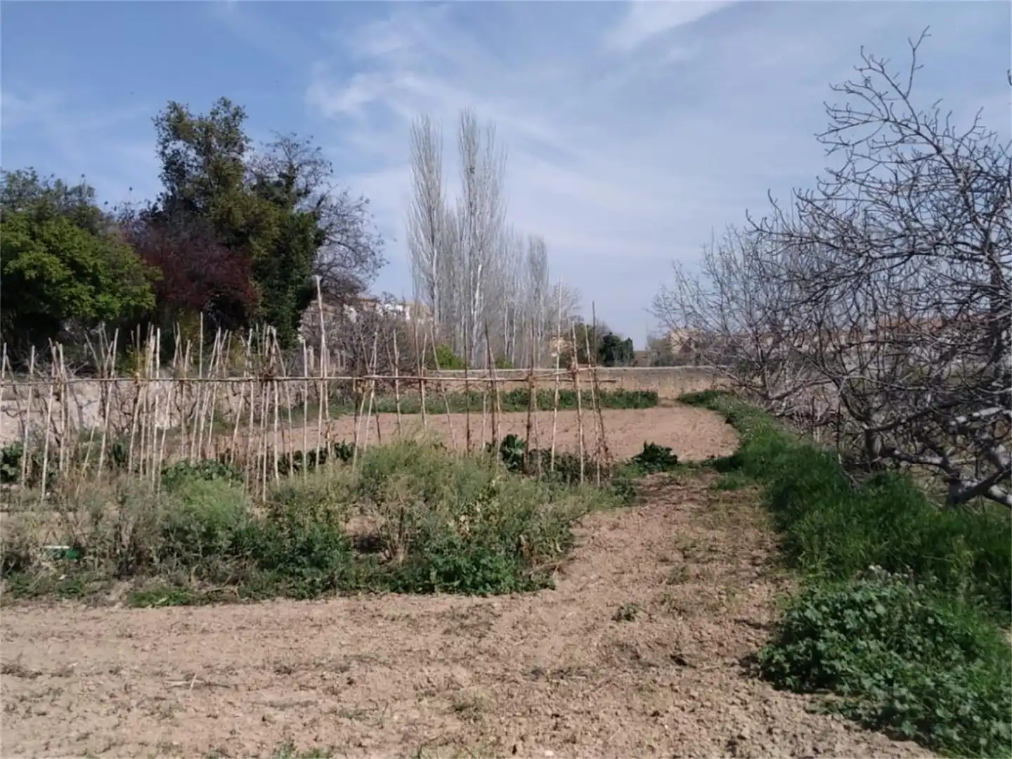 Constructible Land for sale in Ricla