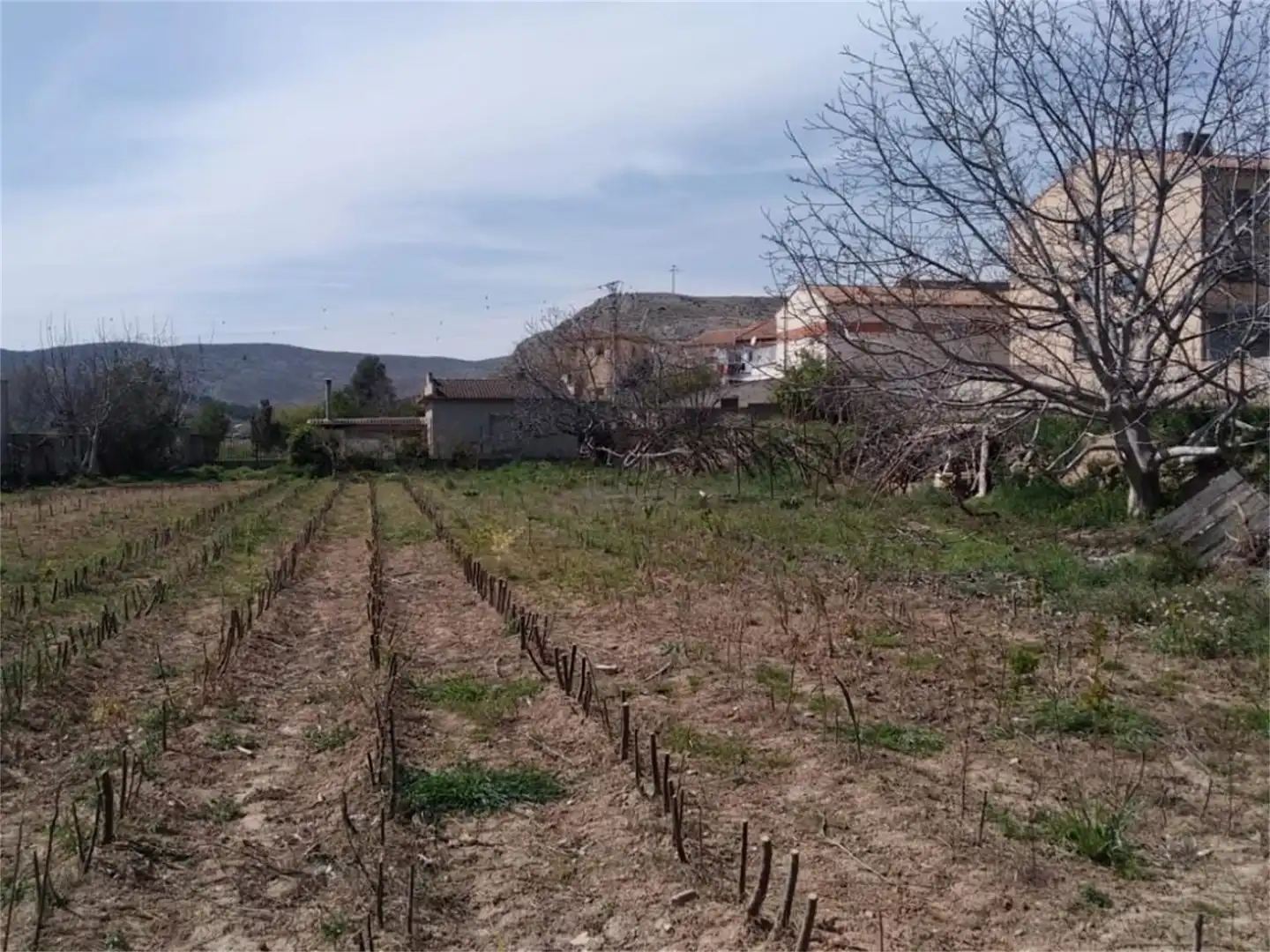Constructible Land for sale in Ricla