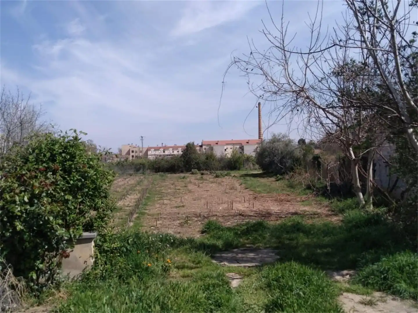 Constructible Land for sale in Ricla
