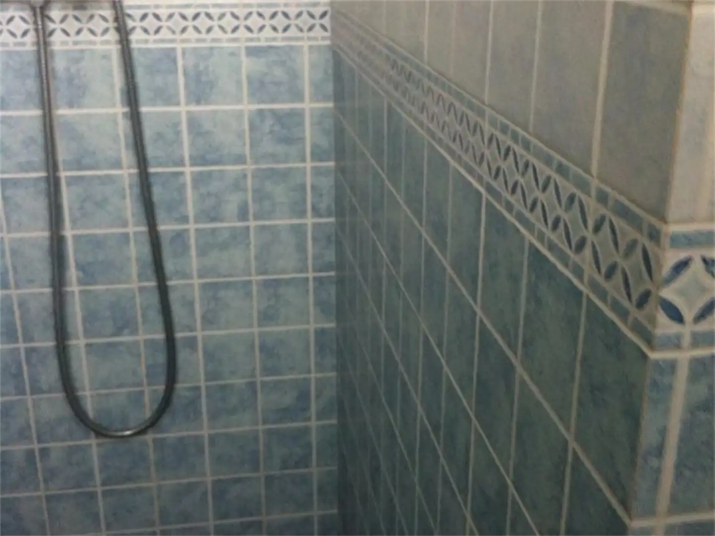 Bany de Casa o xalet en venda en Archidona amb Jardí privat, Parquet i Terrassa