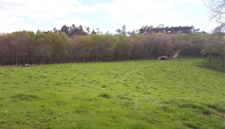 Terreno en venta en San Claudio - Trubia - Las Caldas, Oviedo - imagen 1 Foto 1 de Terreno en venta en San Claudio - Trubia - Las Caldas, Oviedo