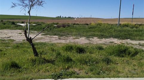 Foto 4 de Planta baja en venta en Calle Rodríguez Chico, 79, Nava del Rey, Valladolid