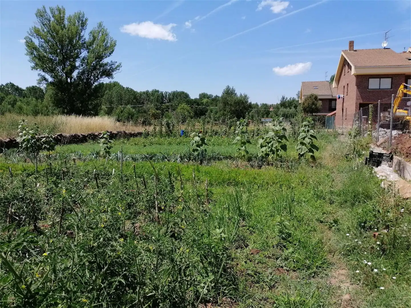 Constructible Land for sale in Salas de los Infantes