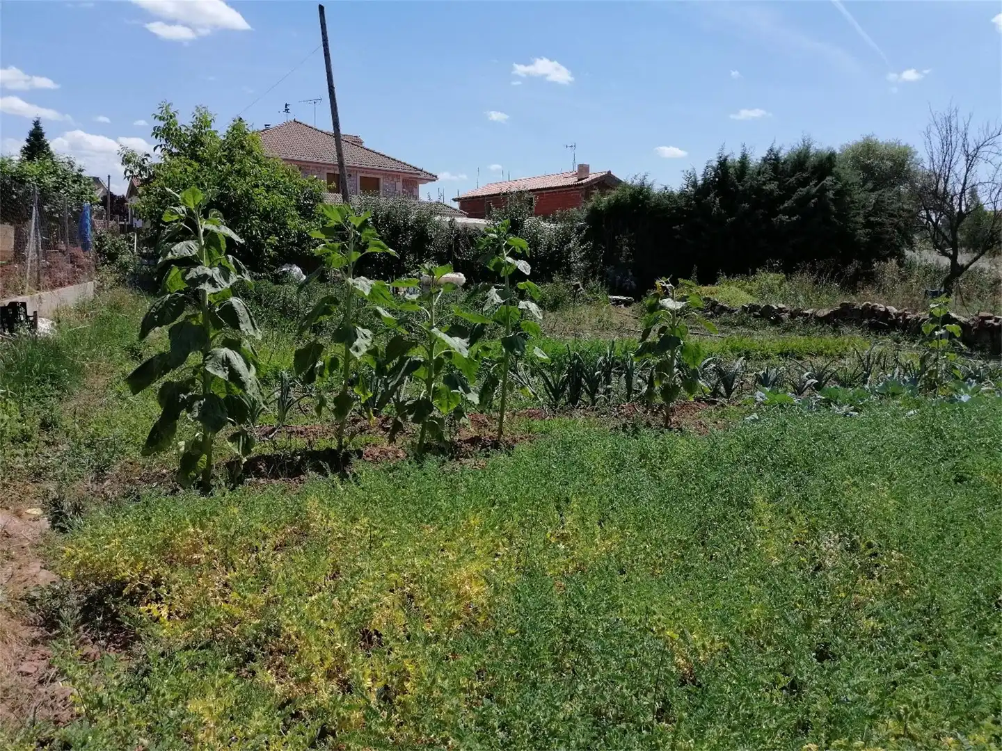 Constructible Land for sale in Salas de los Infantes