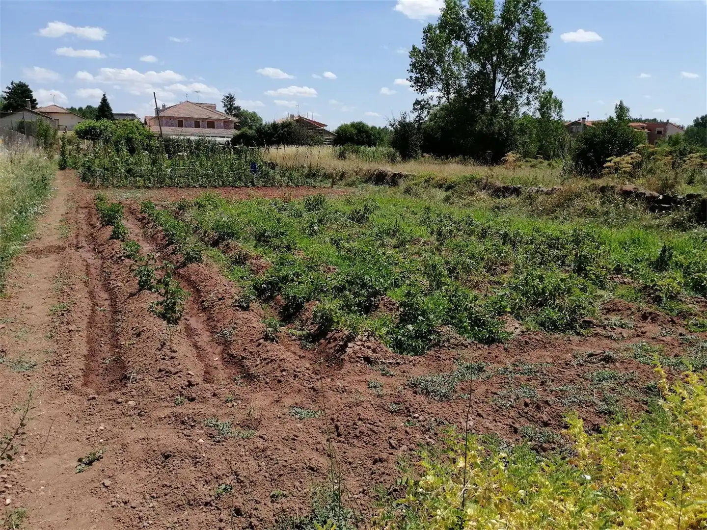 Constructible Land for sale in Salas de los Infantes
