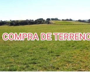 Land for sale in Soria Capital 