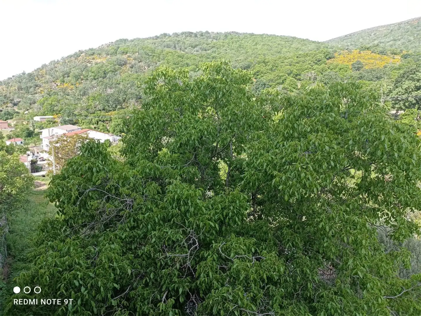 Flat for sale in Cl Rafael Sanchez y Enrique Magaña, El Real de San Vicente Flat for sale in El Real de San Vicente with Air Conditioner, Heating and Storage room