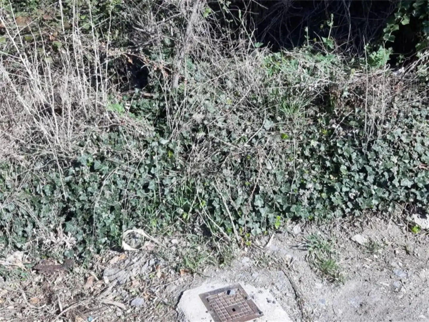 Urbanitzable en venda en Litago