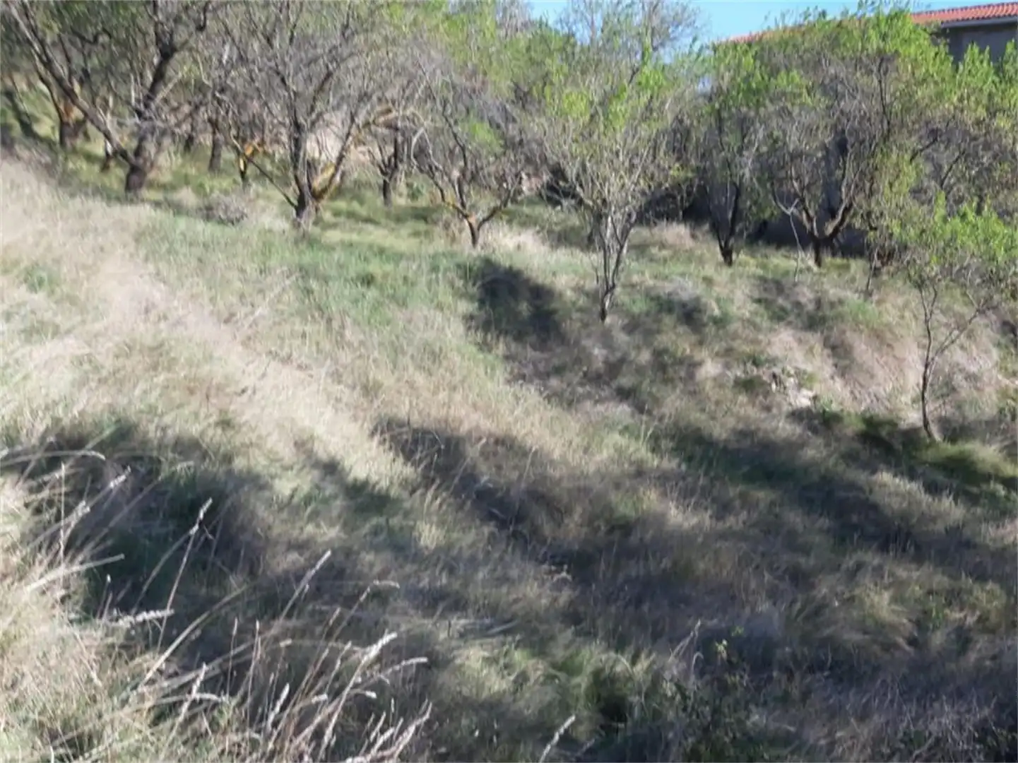 Urbanitzable en venda en Litago
