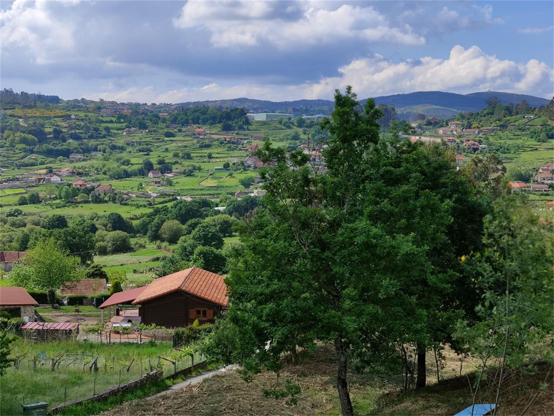 Garden of Constructible Land for sale in Pazos de Borbén