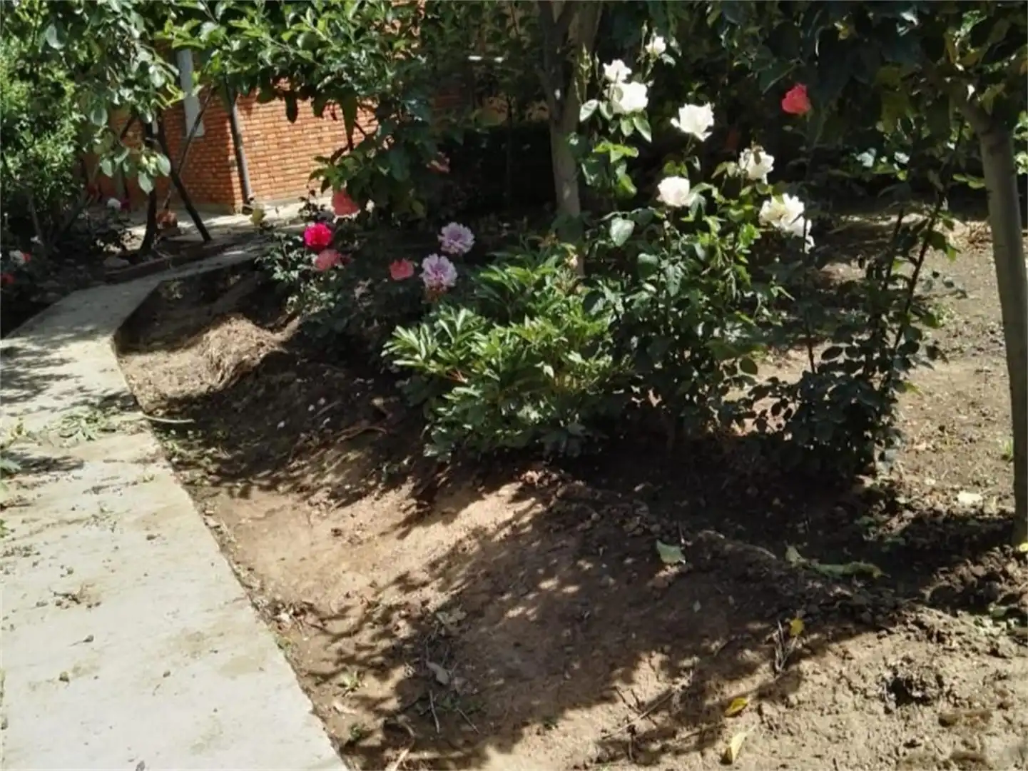 Finca rústica en venta en Calle Real, Vega de Infanzones Jardín de Finca rústica en venta en Vega de Infanzones