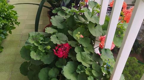 Photo 3 of Flat to rent in Carrer de Solà, Centre - Estació, Barcelona