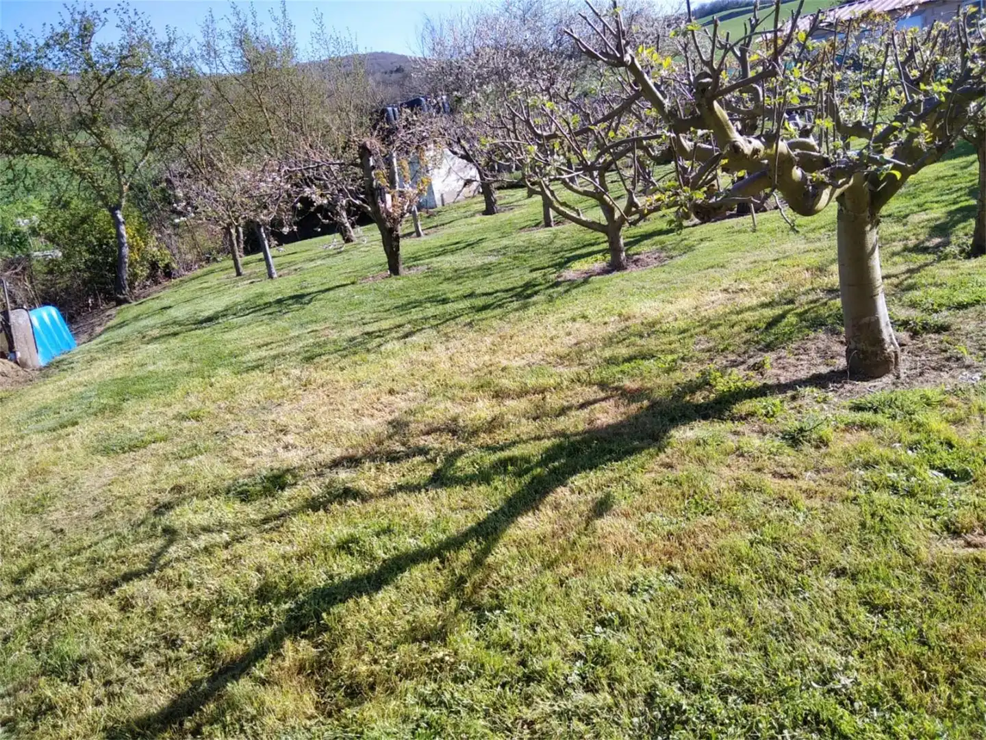 Finca rústica en venta en Calle Bajero Morales, 19, Corporales Finca rústica en venta en Corporales con Calefacción, Jardín privado y Terraza
