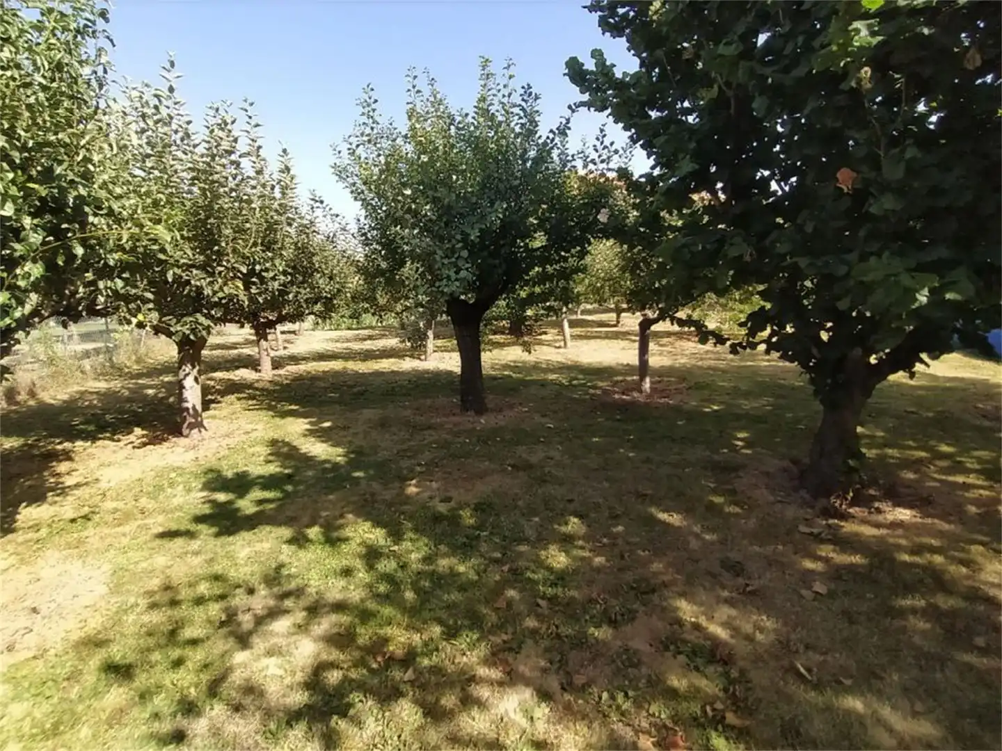 Finca rústica en venta en Calle Bajero Morales, 19, Corporales Finca rústica en venta en Corporales con Calefacción, Jardín privado y Terraza