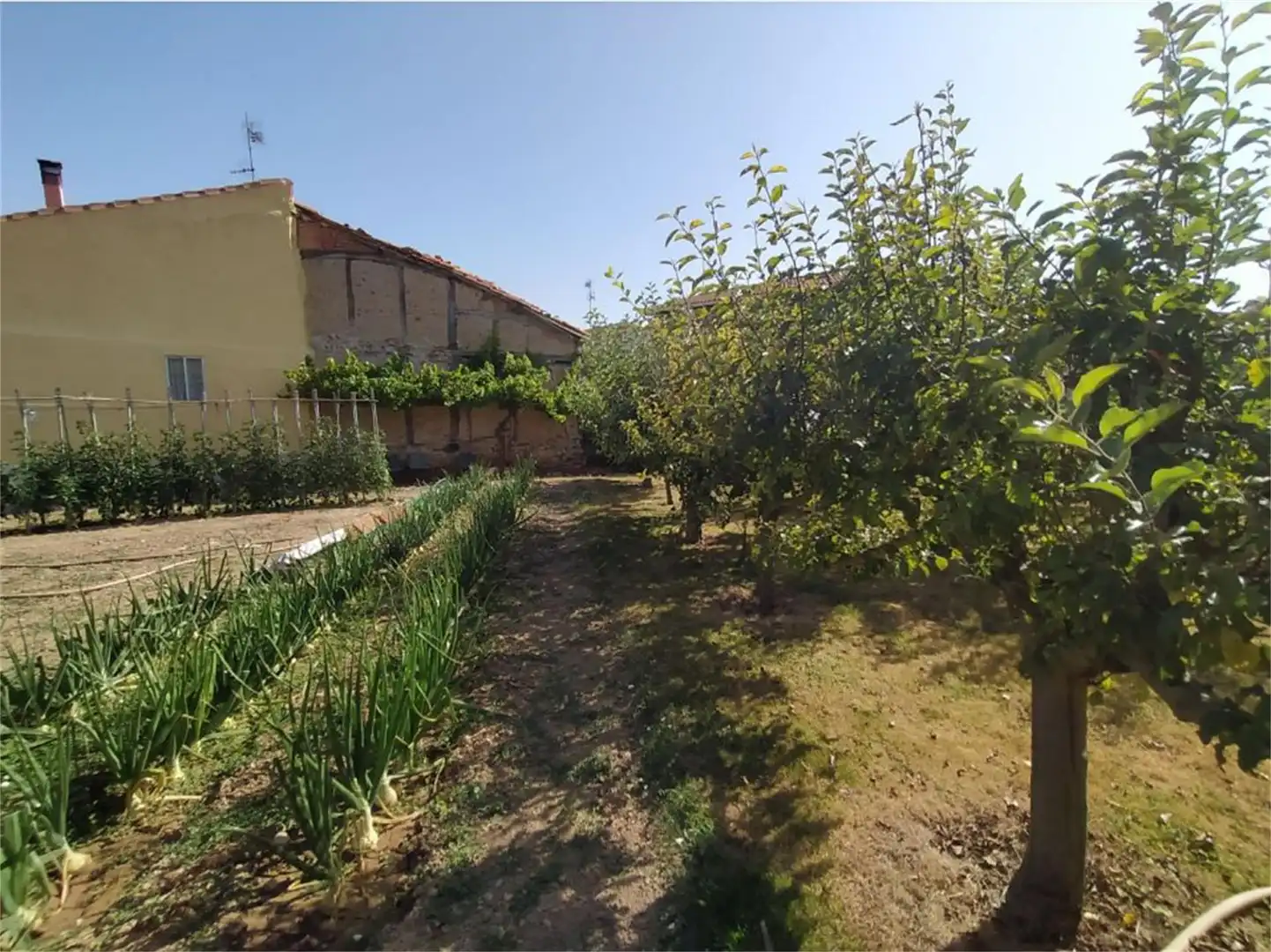 Finca rústica en venta en Calle Bajero Morales, 19, Corporales Finca rústica en venta en Corporales con Calefacción, Jardín privado y Terraza