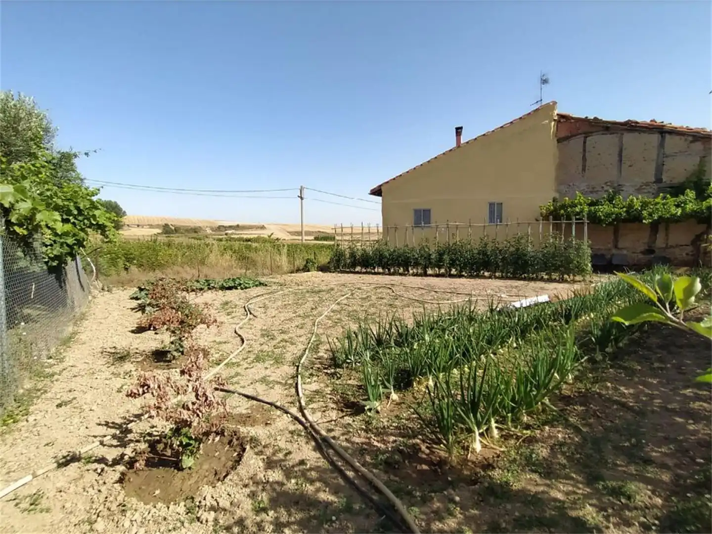 Finca rústica en venta en Calle Bajero Morales, 19, Corporales Finca rústica en venta en Corporales con Calefacción, Jardín privado y Terraza