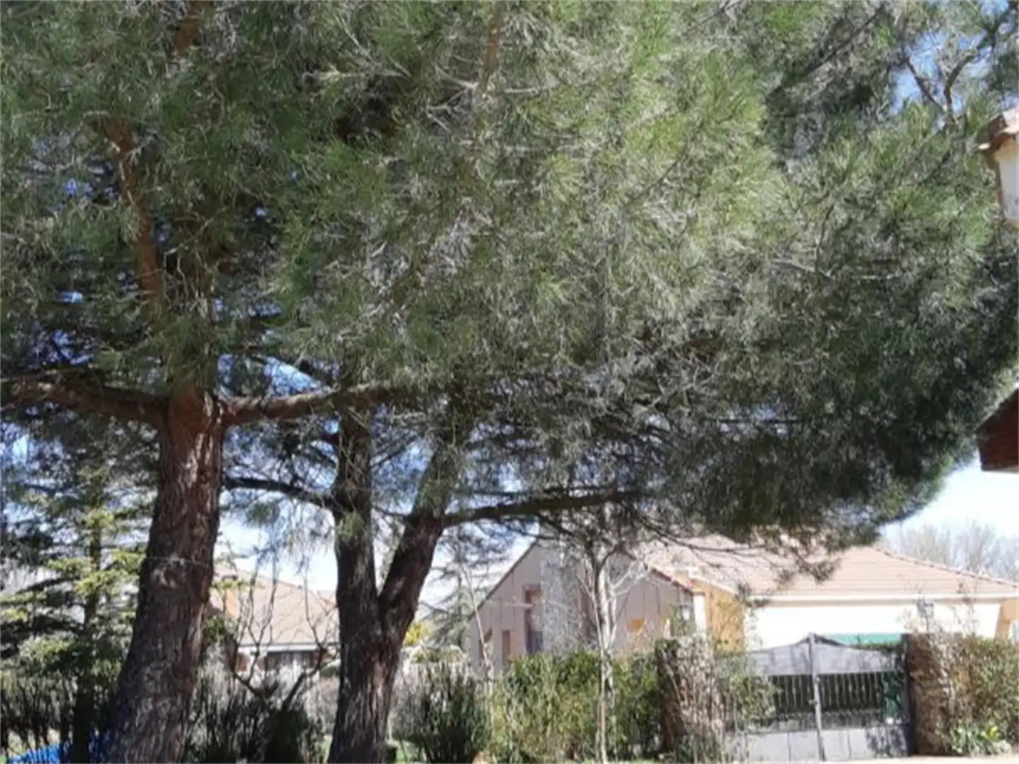 Casa o xalet en venda a Urbanización La Venta, 3, Becerril de Campos Vista exterior de Casa o xalet en venda en Becerril de Campos amb Calefacció, Jardí privat i Traster