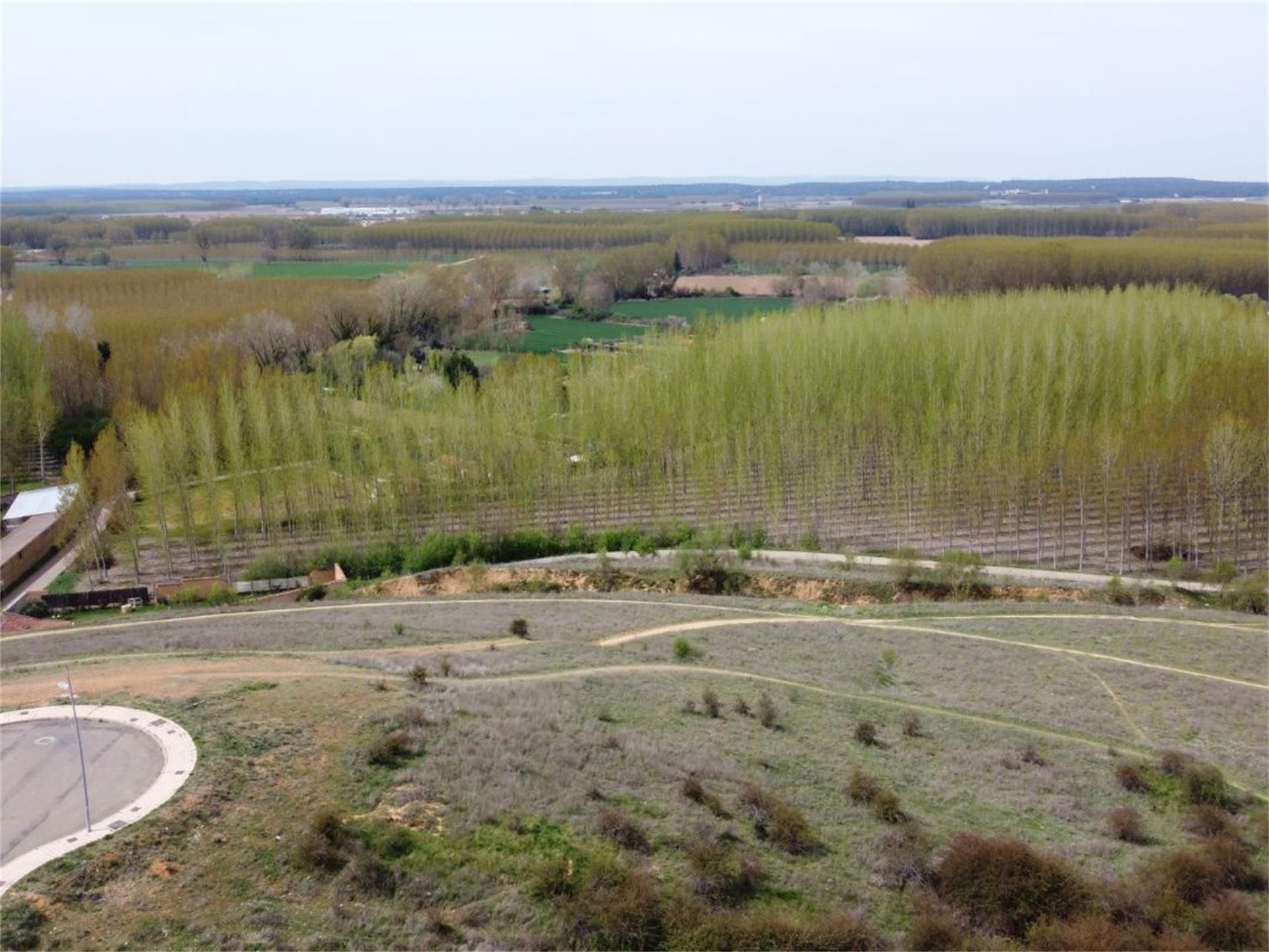 Land for sale in Benavente