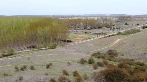 Photo 5 of Land for sale in Benavente, Zamora