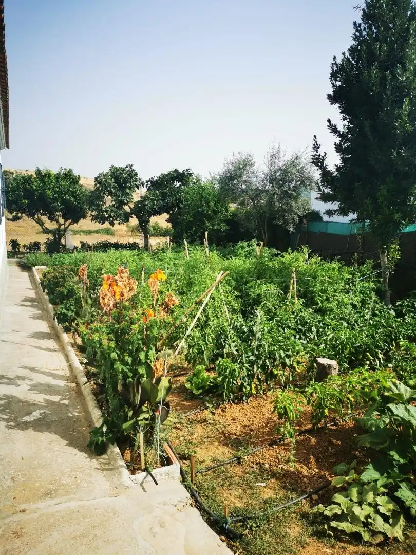 Casa o xalet en venda a Calle Andalucía, Cazalla de la Sierra Jardí de Casa o xalet en venda en Cazalla de la Sierra amb Terrassa