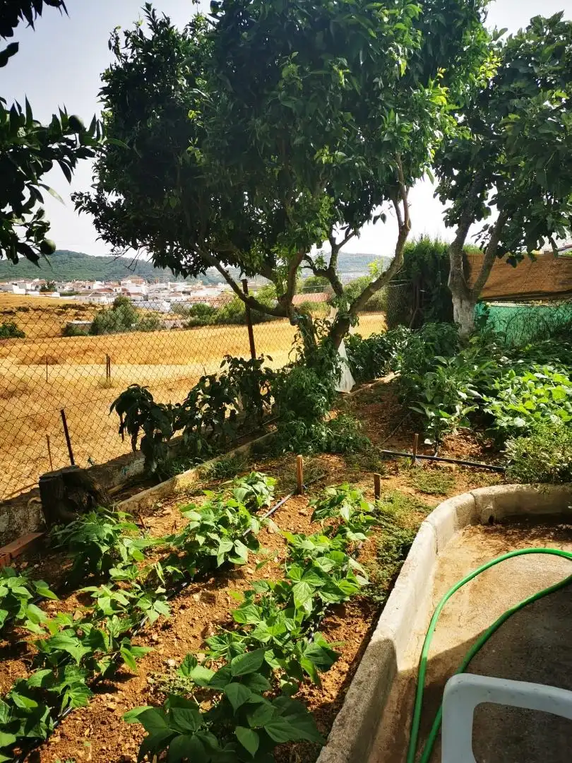 Casa o xalet en venda a Calle Andalucía, Cazalla de la Sierra Jardí de Casa o xalet en venda en Cazalla de la Sierra amb Terrassa