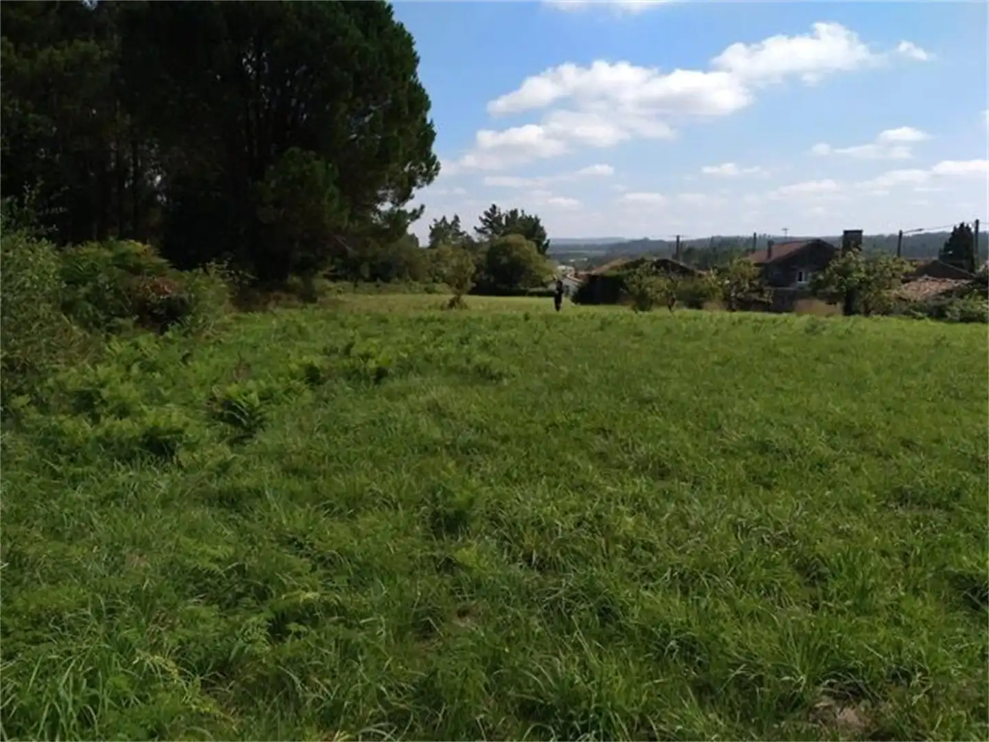 Land for sale in Zas