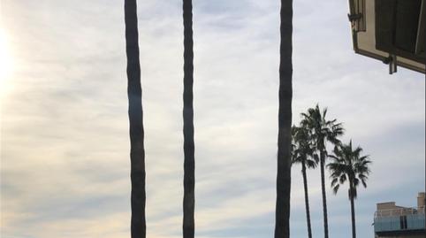 Pis en venda a Carrer de Les Barqueres, 16, Platja de Mont-roig, Tarragona - imatge 3 Foto 3 de Pis en venda a Carrer de Les Barqueres, 16, Platja de Mont-roig, Tarragona