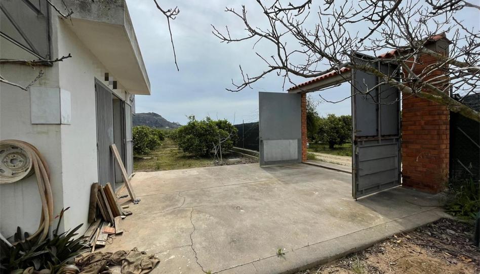 Foto 1 de Finca rústica en venda a Polígono Número 53, Bulevar del Xúquer, Valencia