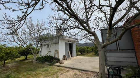 Foto 3 de Finca rústica en venda a Polígono Número 53, Bulevar del Xúquer, Valencia