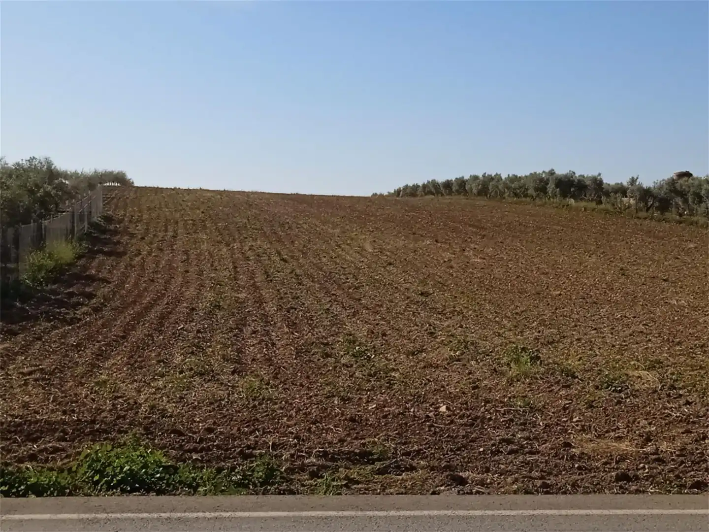 Country homes for sale in La Carlota