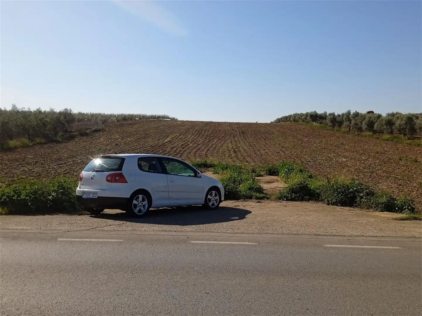 Country homes for sale in La Carlota
