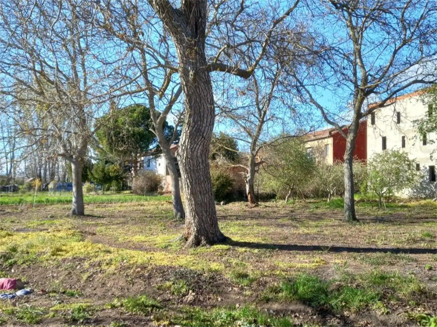Constructible Land for sale in Calle Real, Onzonilla Constructible Land for sale in Onzonilla