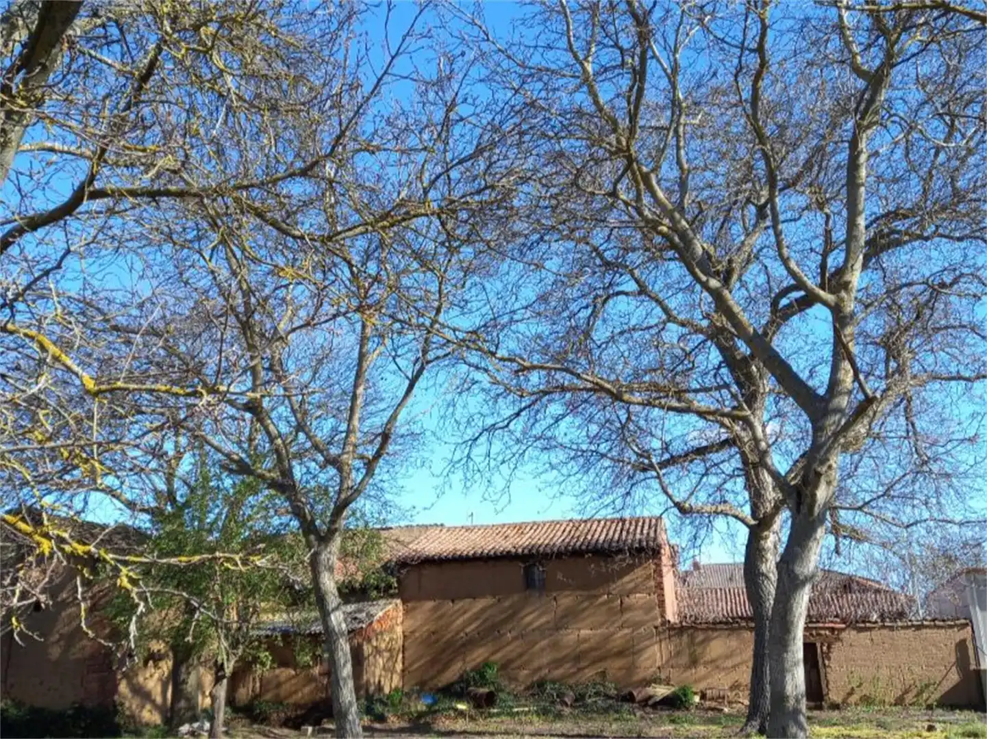Constructible Land for sale in Calle Real, Onzonilla Exterior view of Constructible Land for sale in Onzonilla