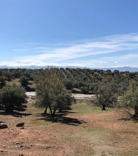 Foto 2 von Bebaubares Gelände zum Verkauf in Calle Odiel, Peligros, Granada