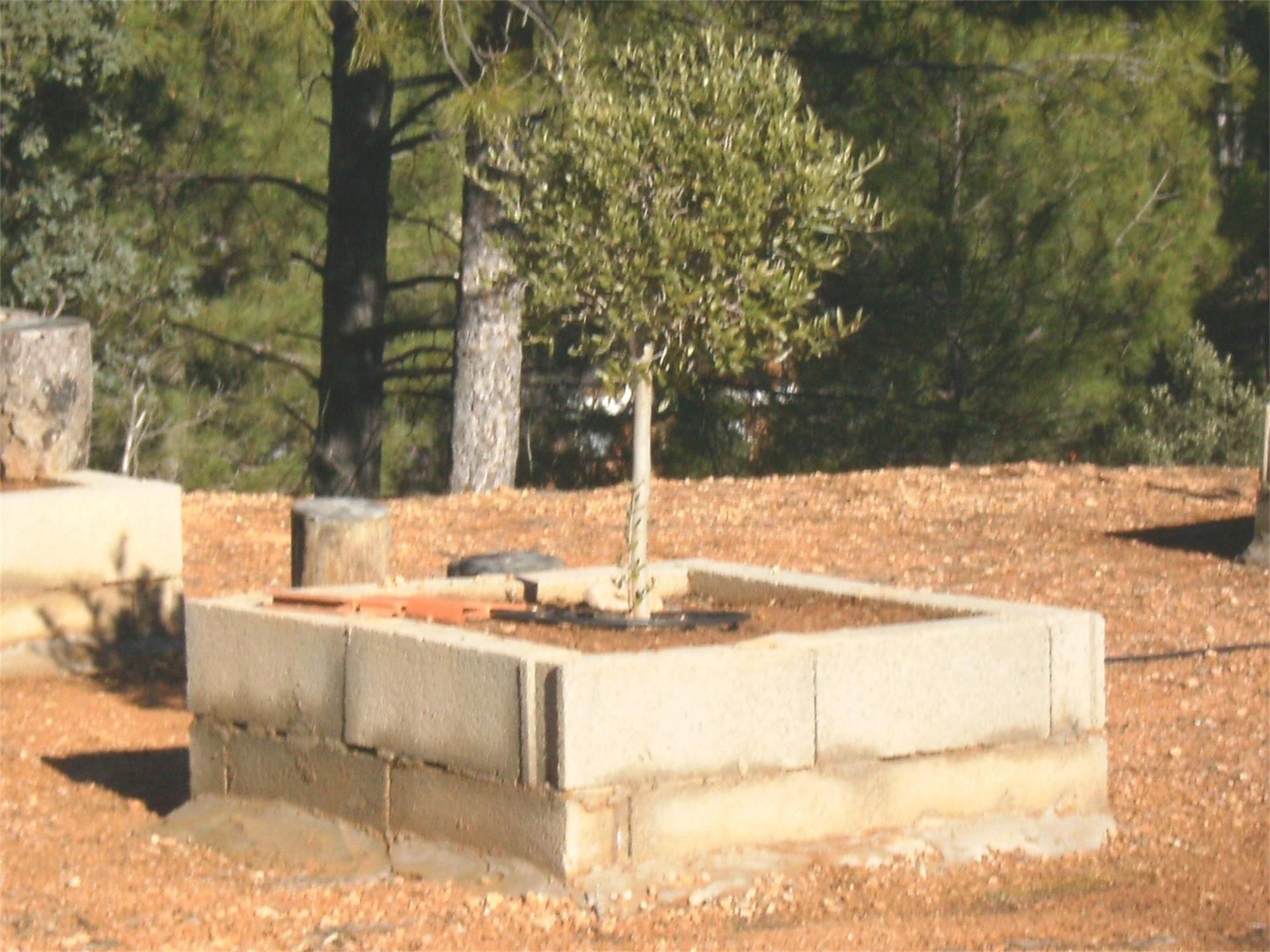Garden of Country house for sale in Trillo  with Heating, Furnished and Washing machine