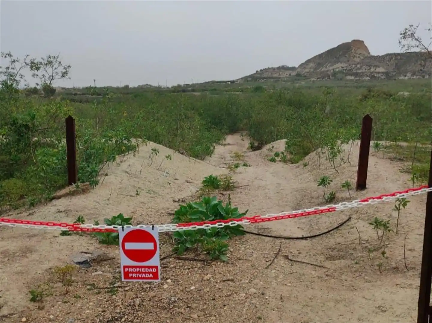 Finca rústica en venta en Carretera de Alguazas, Ceutí Finca rústica en venta en Ceutí