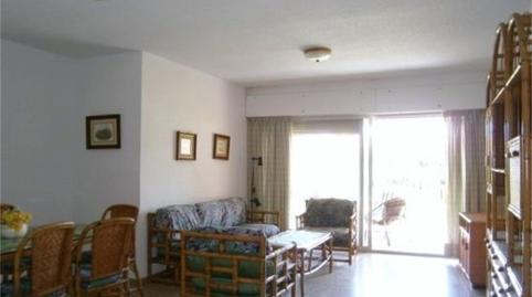 Apartamento de alquiler en Calle Valldigna, Playa de Gandia, Gandia - imagen 5 Foto 5 de Apartamento de alquiler en Calle Valldigna, Playa de Gandia, Gandia