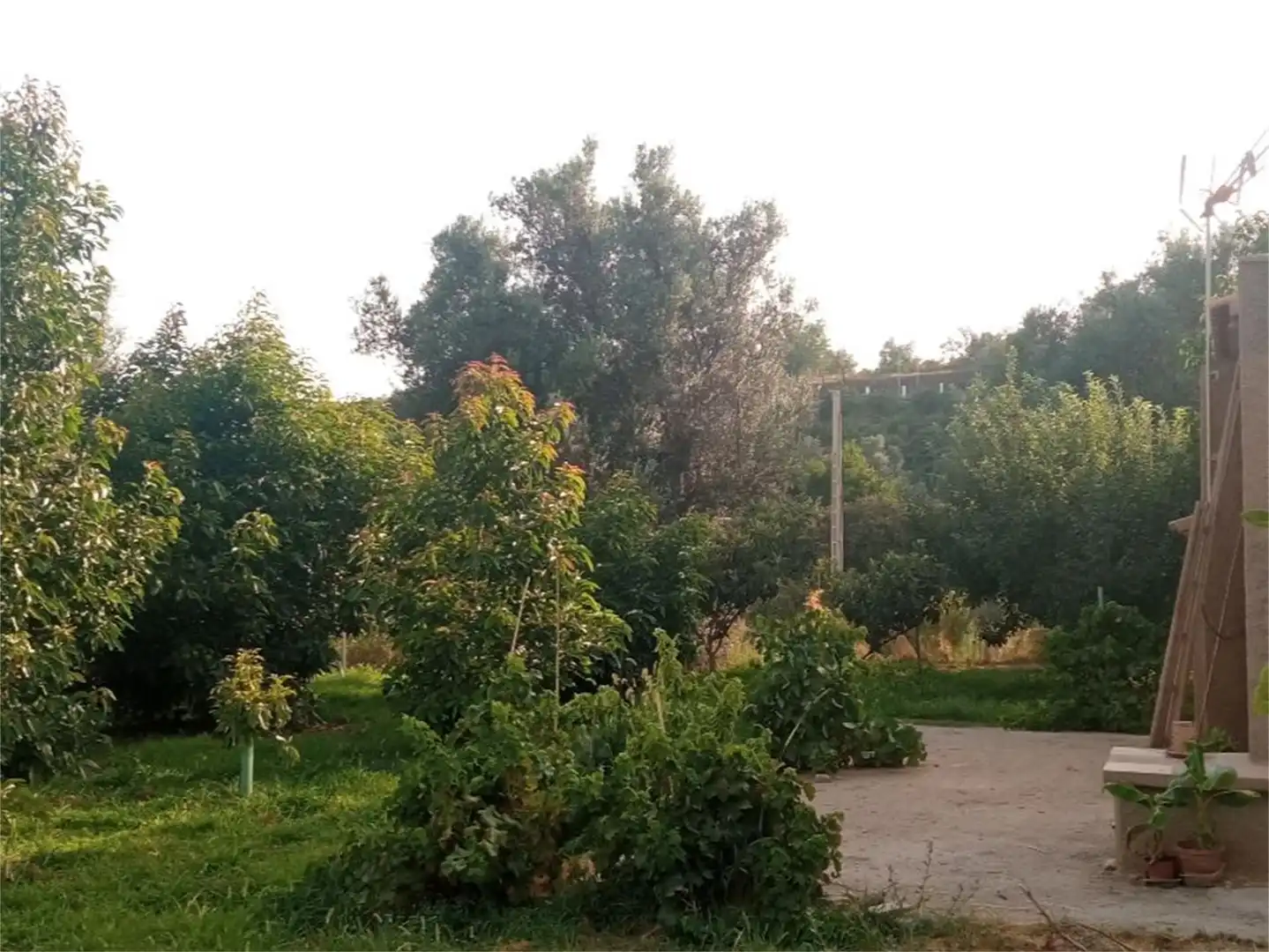 Finca rústica en venta en Lecrín Finca rústica en venta en Lecrín