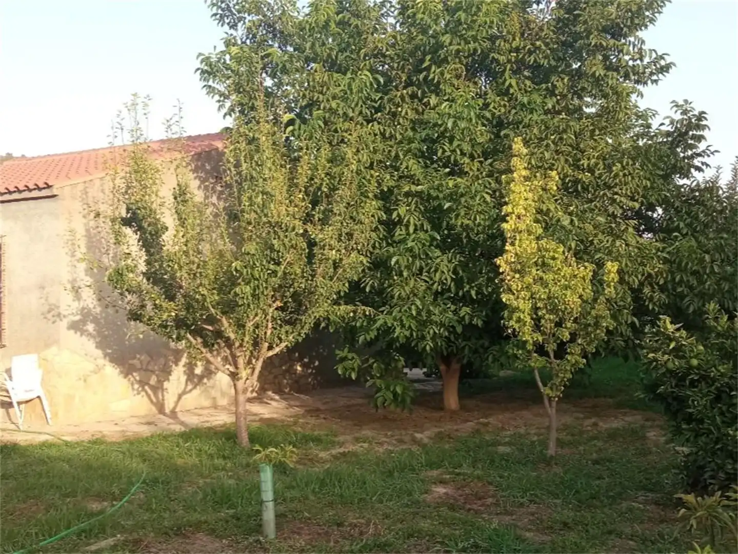 Finca rústica en venta en Lecrín Finca rústica en venta en Lecrín