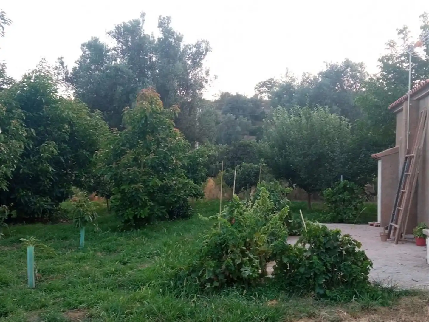 Finca rústica en venta en Lecrín Finca rústica en venta en Lecrín