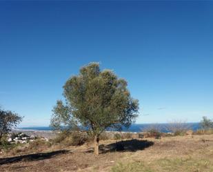 Non-constructible Land for sale in Benimeli
