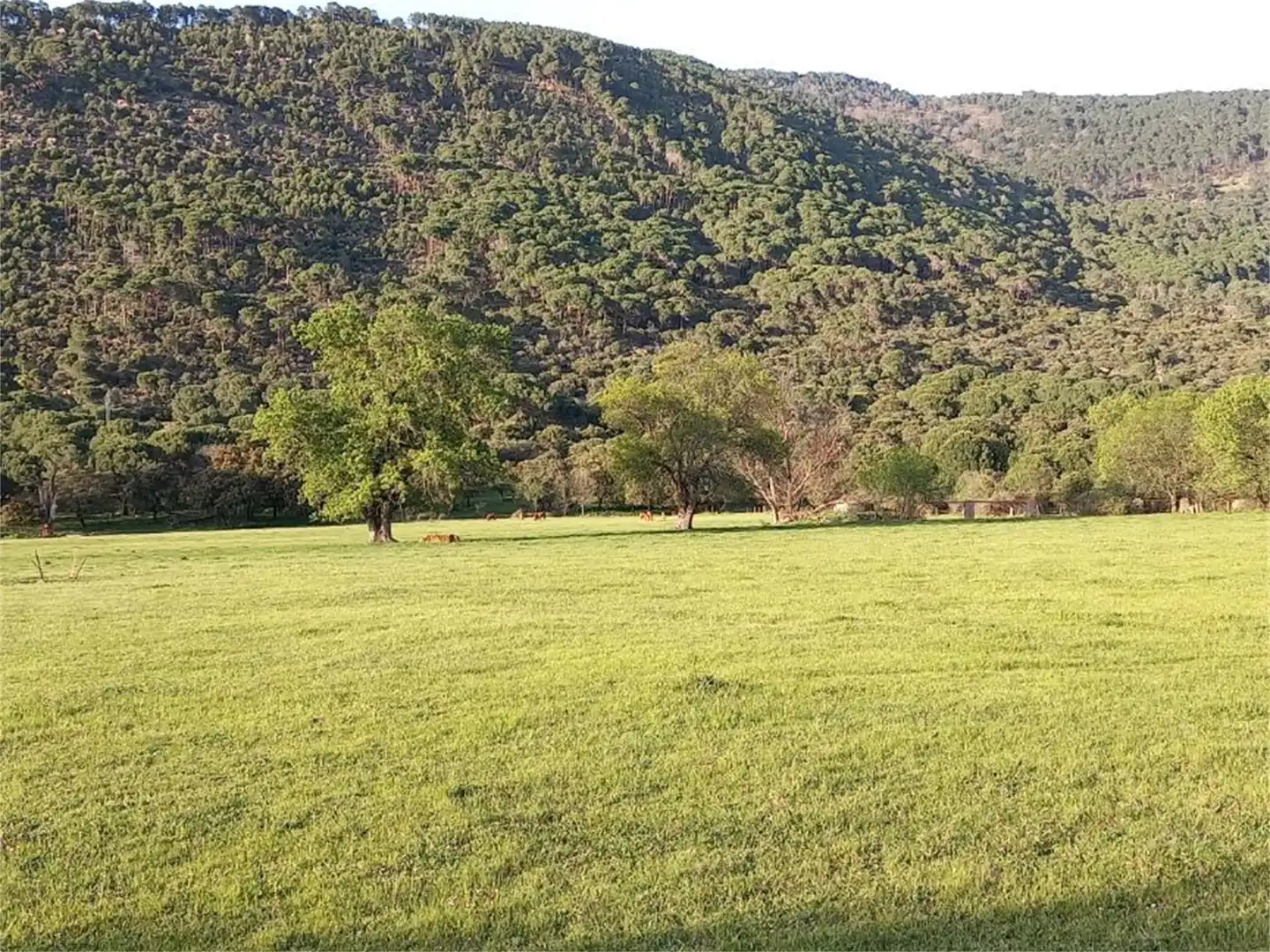 Constructible Land for sale in Paraje El Cabildo, 1, La Adrada Constructible Land for sale in La Adrada