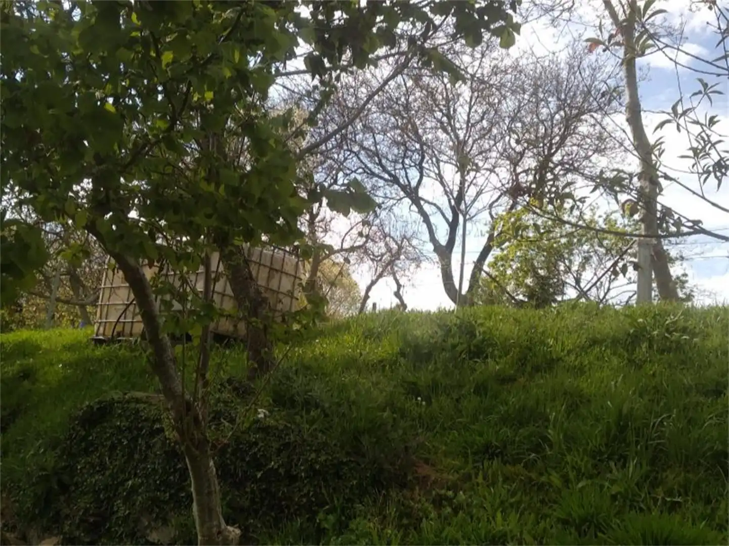 Finca rústica en venta en Fafiás, 10, Vila de Cruces Finca rústica en venta en Vila de Cruces con Jardín privado y Amueblado