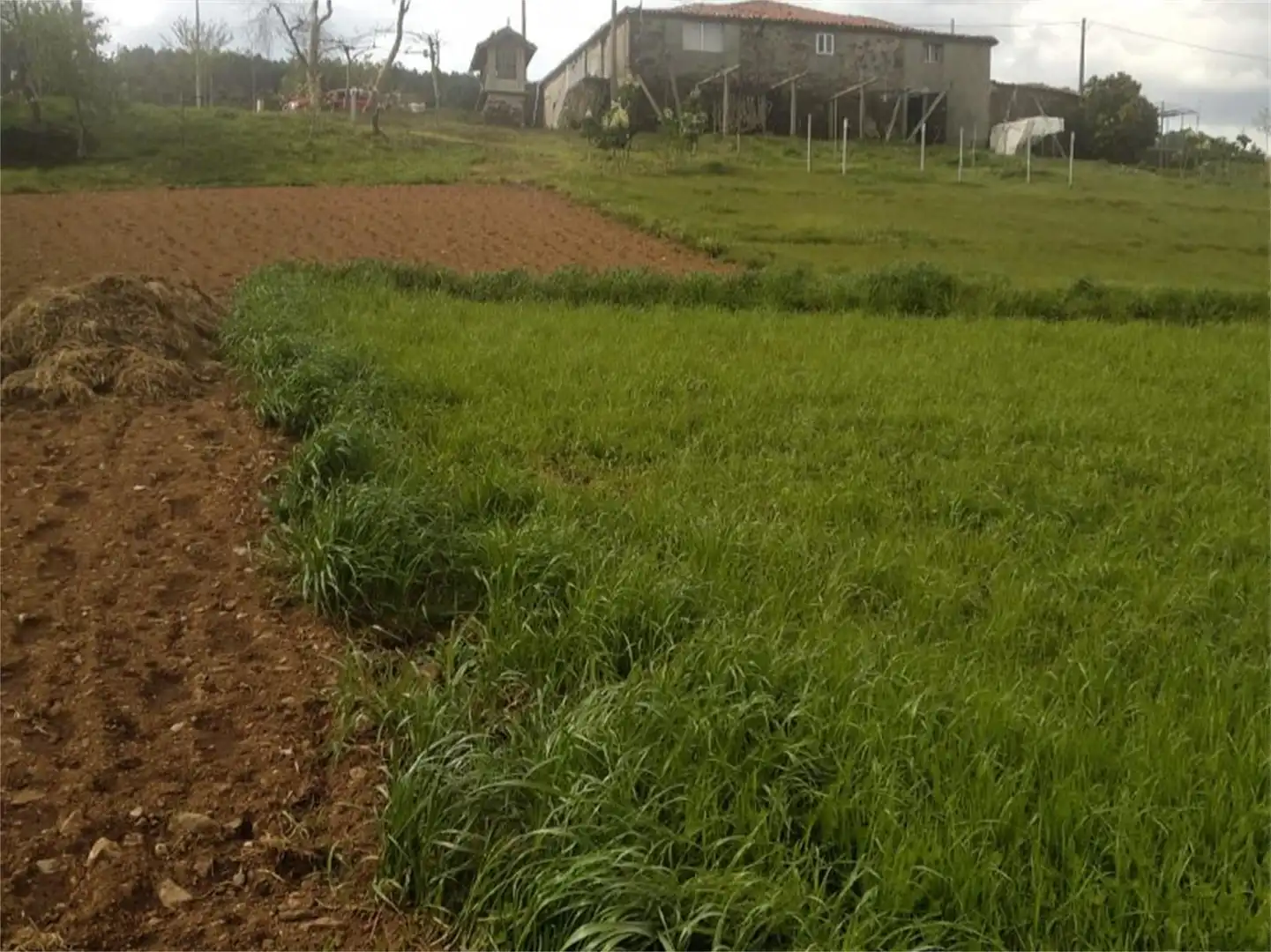 Finca rústica en venta en Fafiás, 10, Vila de Cruces Finca rústica en venta en Vila de Cruces con Jardín privado y Amueblado