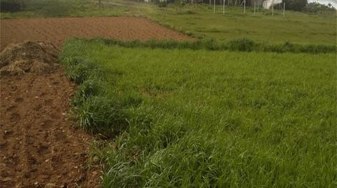 Foto 4 de Finca rústica en venda a Fafiás, 10, Vila de Cruces, Pontevedra